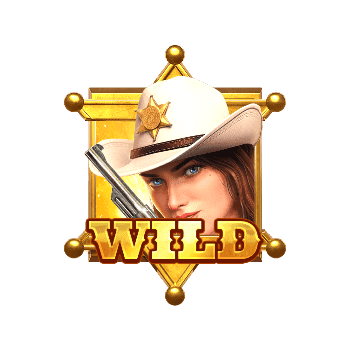 สัญลักษณ์ WILD