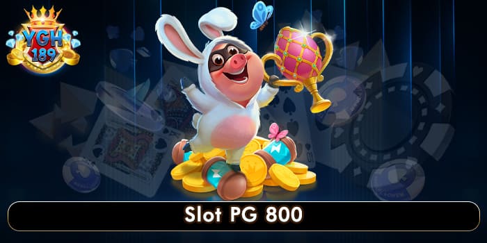 Slot PG 800